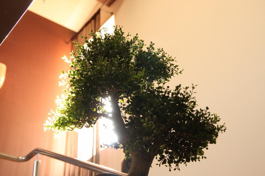 Rixo'S Guesthouse Cîrcea Dış mekan fotoğraf
