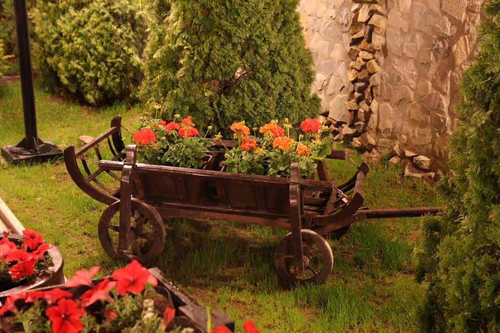 Rixo'S Guesthouse Cîrcea Dış mekan fotoğraf